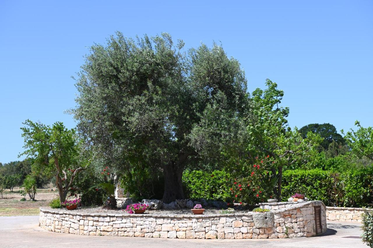 Masseria Peppeturro Cisternino Luaran gambar